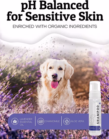 Shampoo per cani senza acqua OEM Shampoo secco naturale per la pulizia del cane Shampoo da bagno per animali domestici