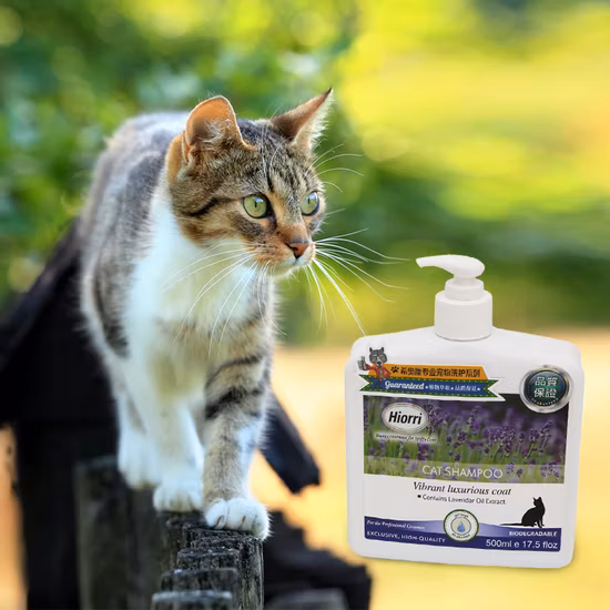 Shampoo nutriente per gatti con pelo di pulci e pulci per la cura degli animali domestici
