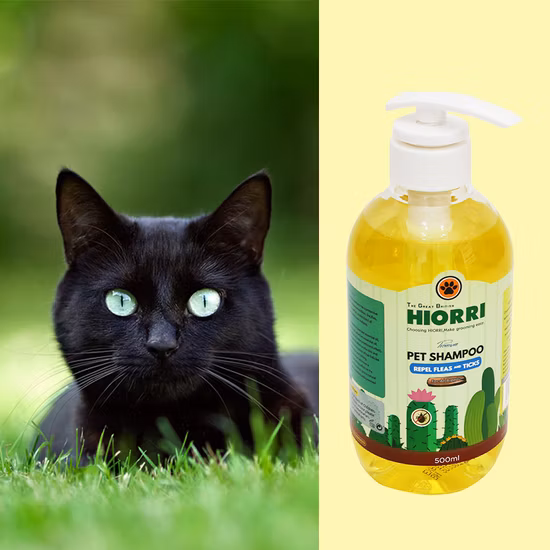 Servizio OEM Vendita calda di alta qualità Shampoo per ammorbidire il prurito per animali domestici